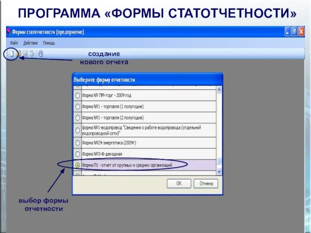 ПРОГРАММА «ФОРМЫ СТАТОТЧЕТНОСТИ» создание нового отчета выбор формы отчетности