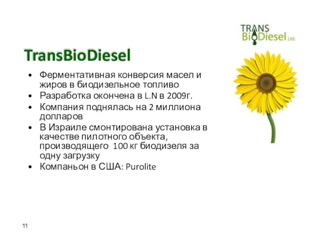 TransBioDiesel Ферментативная конверсия масел и жиров в биодизельное топливо Разработка окончена в