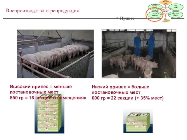 Воспроизводство и репродукция • Привес Высокий привес = меньше постановочных мест 850