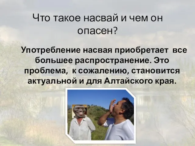 Что такое насвай и чем он опасен? Употребление насвая приобретает все большее