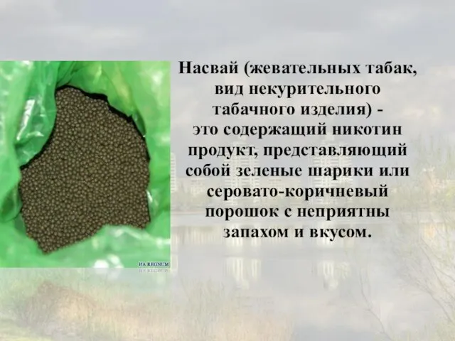 Насвай (жевательных табак, вид некурительного табачного изделия) - это содержащий никотин продукт,