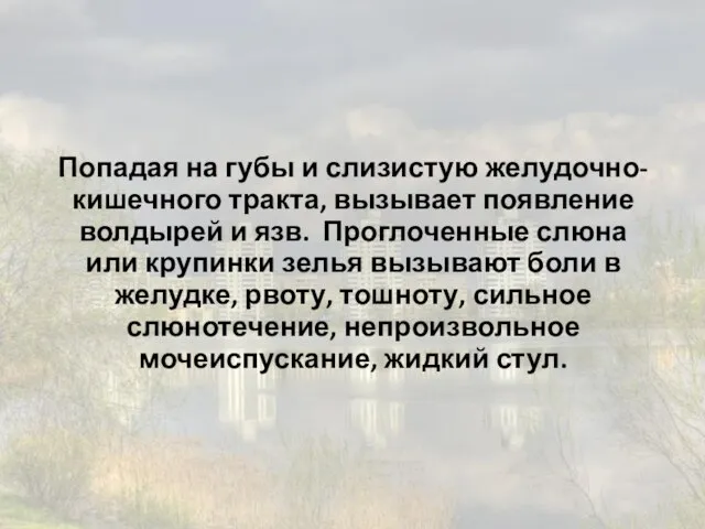 Попадая на губы и слизистую желудочно-кишечного тракта, вызывает появление волдырей и язв.