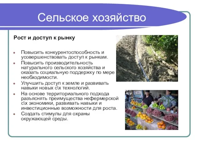 Сельское хозяйство Рост и доступ к рынку Повысить конкурентоспособность и усовершенствовать доступ