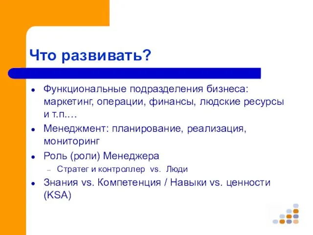 Что развивать? Функциональные подразделения бизнеса: маркетинг, операции, финансы, людские ресурсы и т.п.…