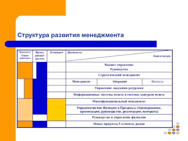 Структура развития менеджмента