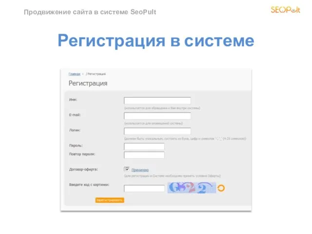 Продвижение сайта в системе SeoPult Регистрация в системе