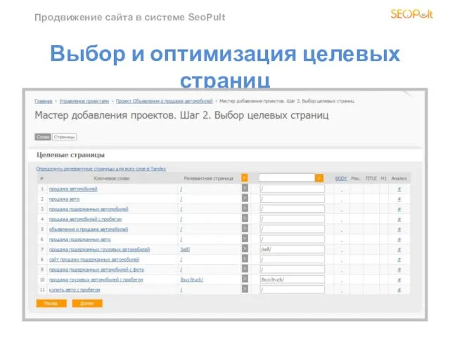 Продвижение сайта в системе SeoPult Выбор и оптимизация целевых страниц