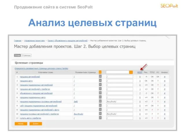 Продвижение сайта в системе SeoPult Анализ целевых страниц