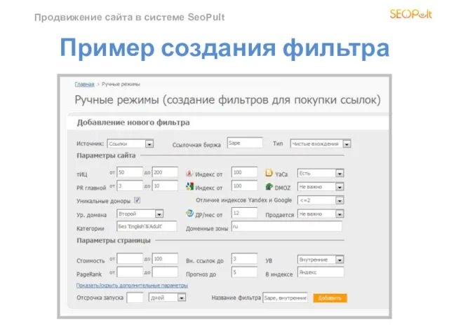Продвижение сайта в системе SeoPult Пример создания фильтра