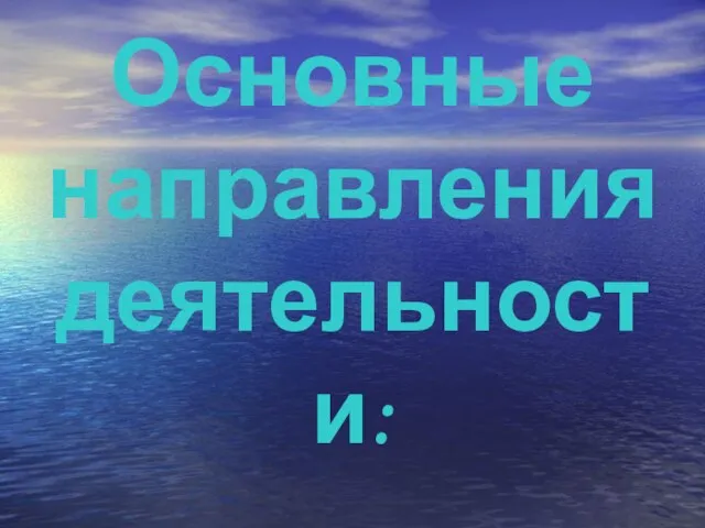 Основные направления деятельности: