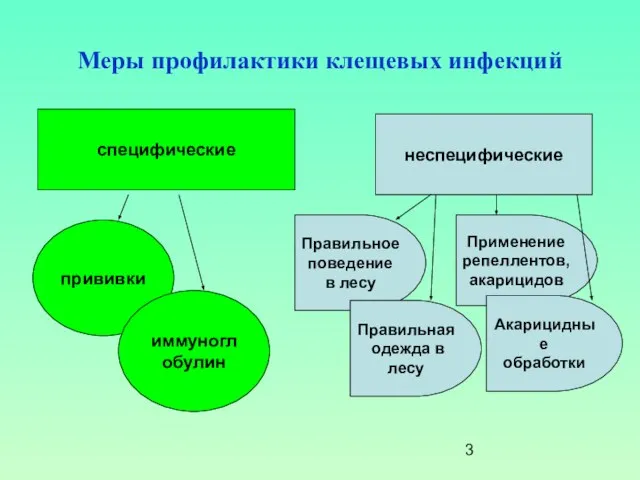 Меры профилактики клещевых инфекций специфические неспецифические прививки иммуноглобулин Правильное поведение в лесу