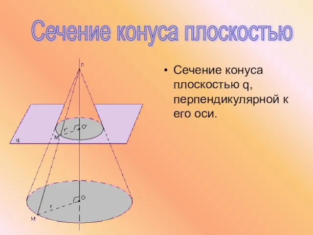 Сечение конуса плоскостью q, перпендикулярной к его оси. Сечение конуса плоскостью