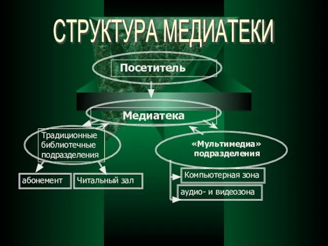 СТРУКТУРА МЕДИАТЕКИ СТРУКТУРА МЕДИАТЕКИ