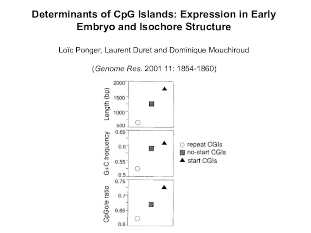 Determinants of CpG Islands: Expression in Early Embryo and Isochore Structure Loïc