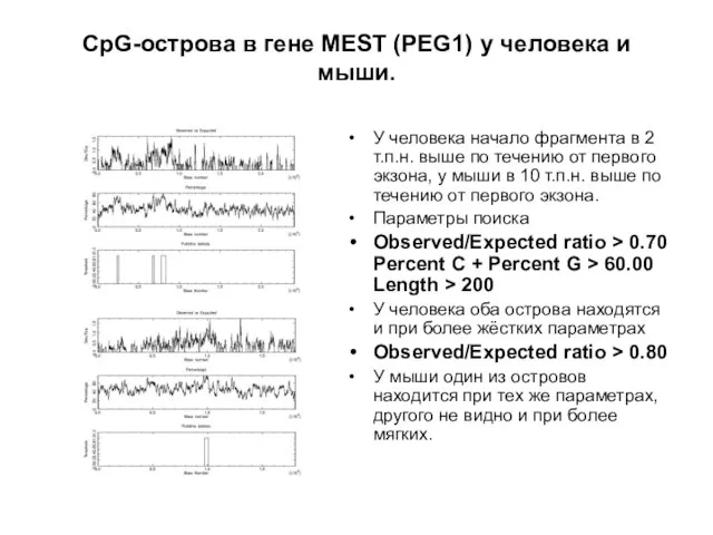 CpG-острова в гене MEST (PEG1) у человека и мыши. У человека начало