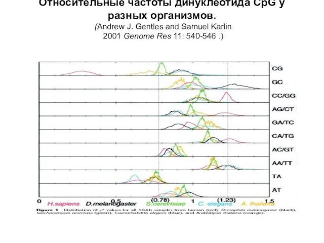 Относительные частоты динуклеотида CpG у разных организмов. (Andrew J. Gentles and Samuel