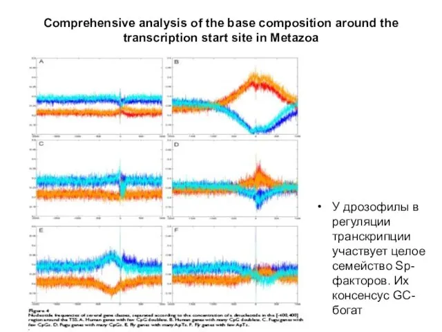 Comprehensive analysis of the base composition around the transcription start site in