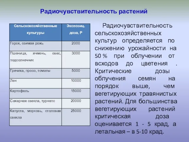 Радиочувствительность растений Радиочувствительность сельскохозяйственных культур определяется по снижению урожайности на 50 %