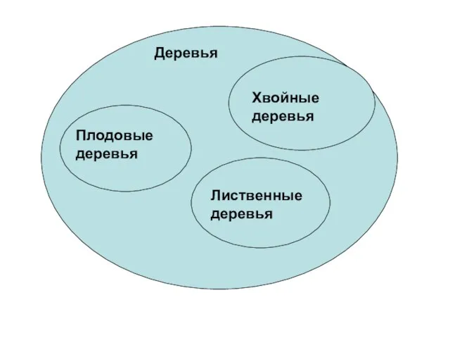 Деревья Хвойные деревья Плодовые деревья Лиственные деревья