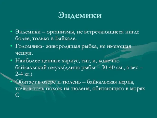 Эндемики Эндемики – организмы, не встречающиеся нигде более, только в Байкале. Голомянка-