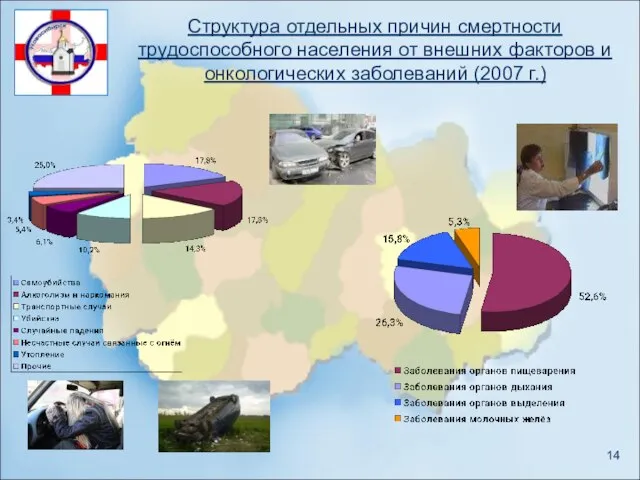 Структура отдельных причин смертности трудоспособного населения от внешних факторов и онкологических заболеваний (2007 г.)