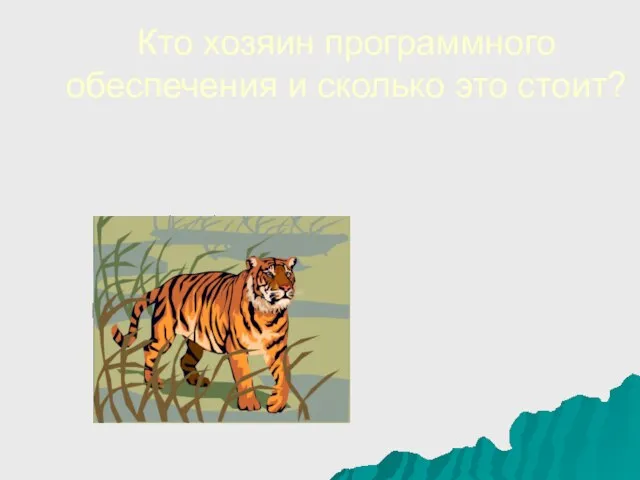 Кто хозяин программного обеспечения и сколько это стоит?