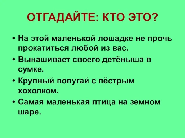 ОТГАДАЙТЕ: КТО ЭТО? На этой маленькой лошадке не прочь прокатиться любой из