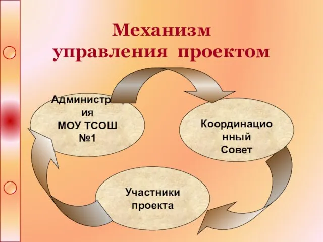 Механизм управления проектом Администрация МОУ ТСОШ №1 Координационный Совет Участники проекта