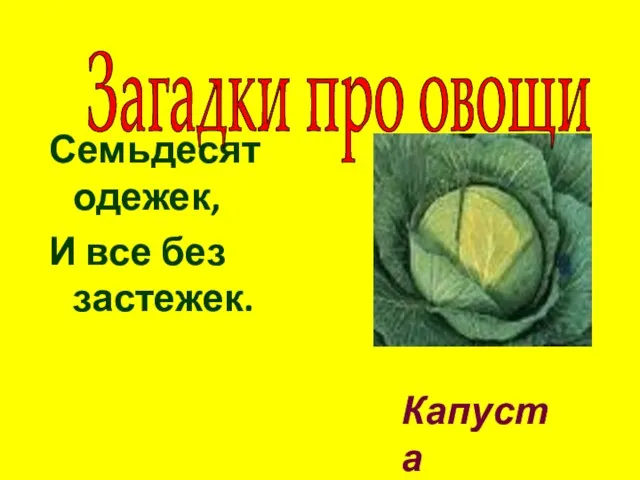 Семьдесят одежек, И все без застежек. Капуста Загадки про овощи