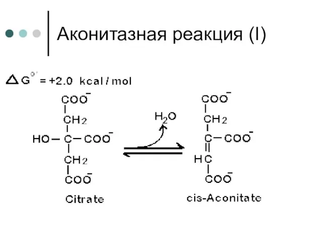 Аконитазная реакция (І)