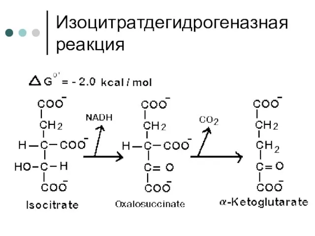 Изоцитратдегидрогеназная реакция