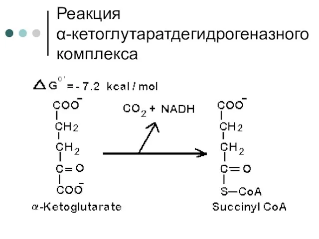 Реакция α-кетоглутаратдегидрогеназного комплекса