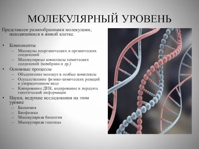 МОЛЕКУЛЯРНЫЙ УРОВЕНЬ Представлен разнообразными молекулами, находящимися в живой клетке. Компоненты Молекулы неорганических