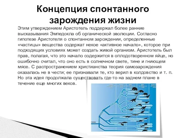 Этим утверждением Аристотель поддержал более ранние высказывания Эмпедокла об органической эволюции. Согласно