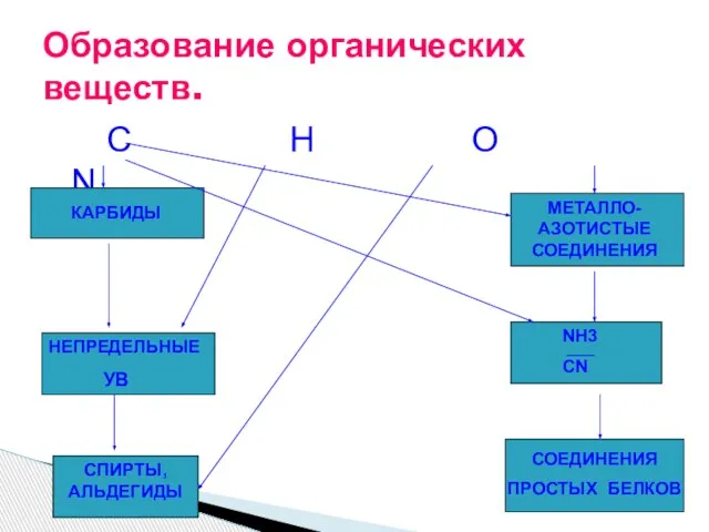 С Н О N Образование органических веществ. НЕПРЕДЕЛЬНЫЕ УВ СПИРТЫ, АЛЬДЕГИДЫ МЕТАЛЛО-АЗОТИСТЫЕ