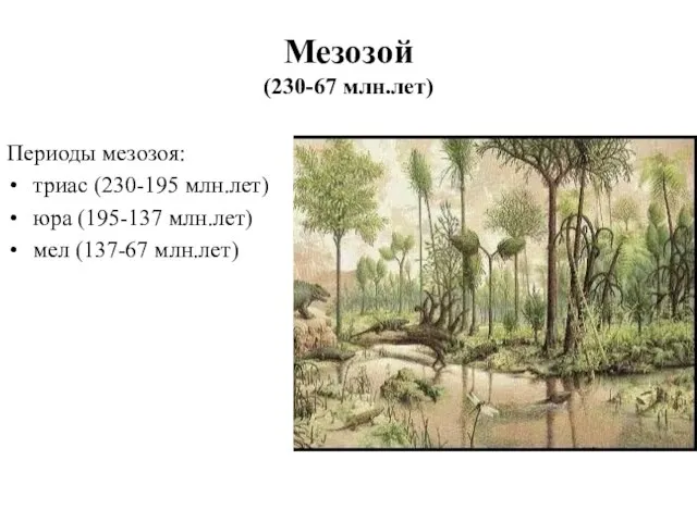 Мезозой (230-67 млн.лет) Периоды мезозоя: триас (230-195 млн.лет) юра (195-137 млн.лет) мел (137-67 млн.лет)