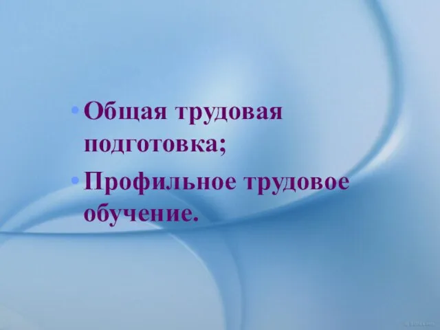 Общая трудовая подготовка; Профильное трудовое обучение.