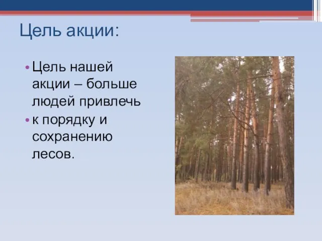 Цель акции: Цель нашей акции – больше людей привлечь к порядку и сохранению лесов.