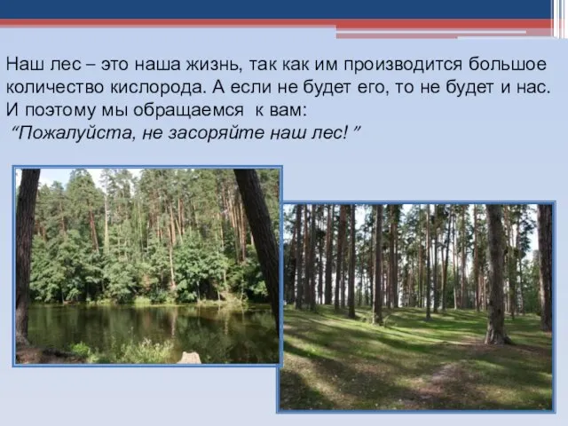 Наш лес – это наша жизнь, так как им производится большое количество