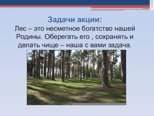 Задачи акции: Лес – это несметное богатство нашей Родины. Оберегать его ,