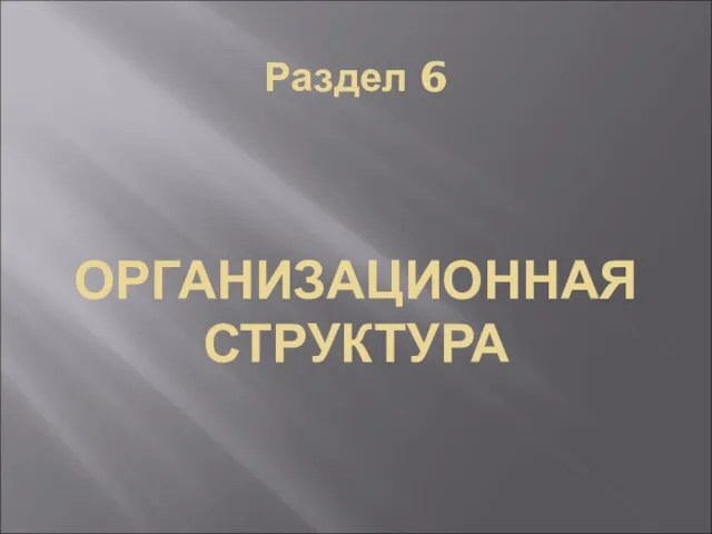 Раздел 6 ОРГАНИЗАЦИОННАЯ СТРУКТУРА