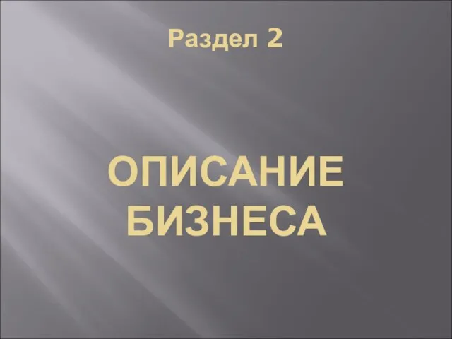 Раздел 2 ОПИСАНИЕ БИЗНЕСА