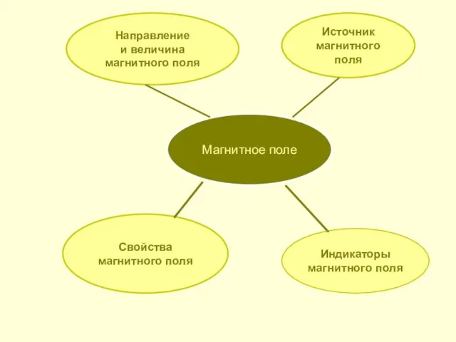 Магнитное поле Источник магнитного поля Индикаторы магнитного поля Свойства магнитного поля Направление и величина магнитного поля