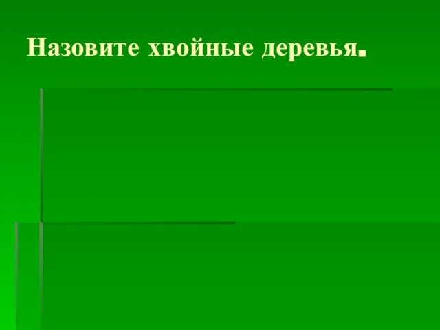 Назовите хвойные деревья.