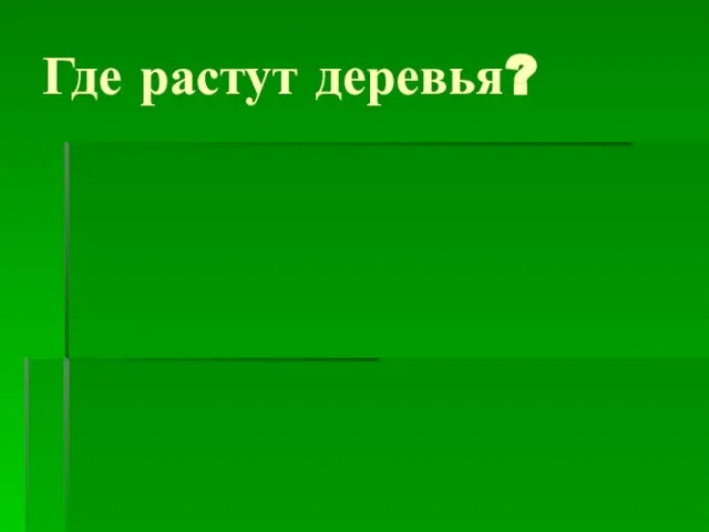 Где растут деревья?