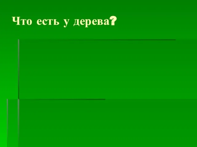 Что есть у дерева?