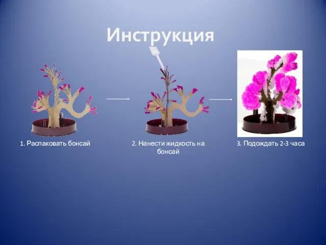 Инструкция 1. Распаковать бонсай 2. Нанести жидкость на бонсай 3. Подождать 2-3 часа