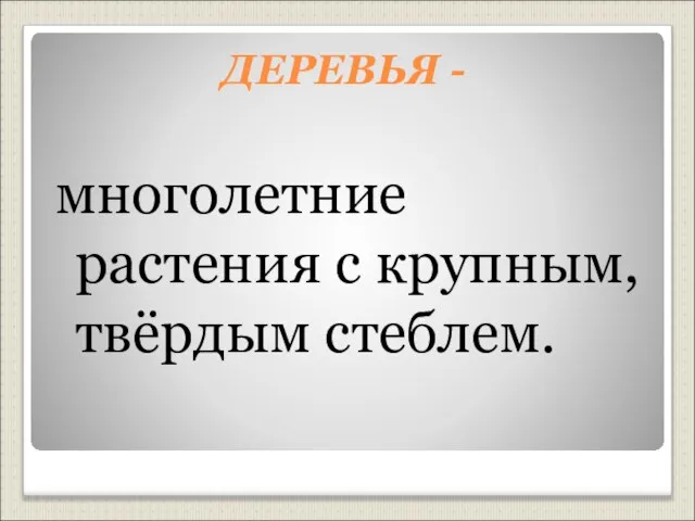 ДЕРЕВЬЯ - многолетние растения с крупным, твёрдым стеблем.