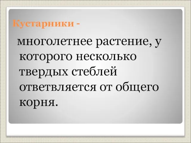 Кустарники - многолетнее растение, у которого несколько твердых стеблей ответвляется от общего корня.