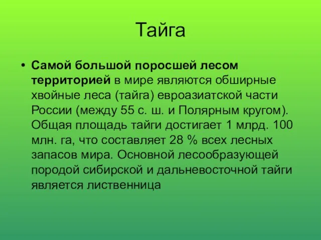 Тайга Самой большой поросшей лесом территорией в мире являются обширные хвойные леса